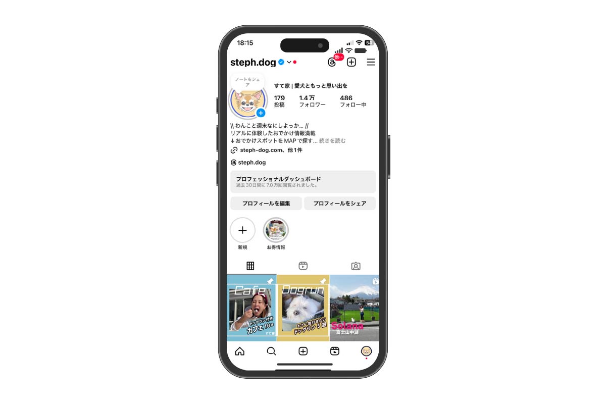 すて家